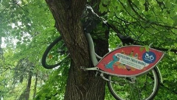 Piotrkowski rower "nadrzewny"