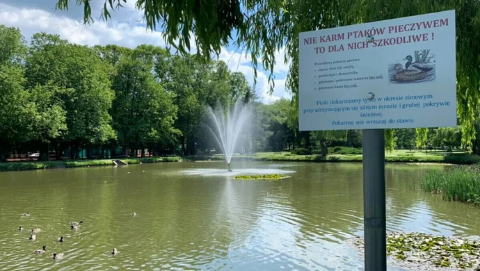 &#1059; &#1055;&#1100;&#1086;&#1090;&#1088;&#1082;&#1091;&#1074;&#1110; &#1085;&#1086;&#1074;&#1110; &#1079;&#1085;&#1072;&#1082;&#1080; &#1079;&#1072;&#1073;&#1086;&#1088;&#1086;&#1085;&#1080;