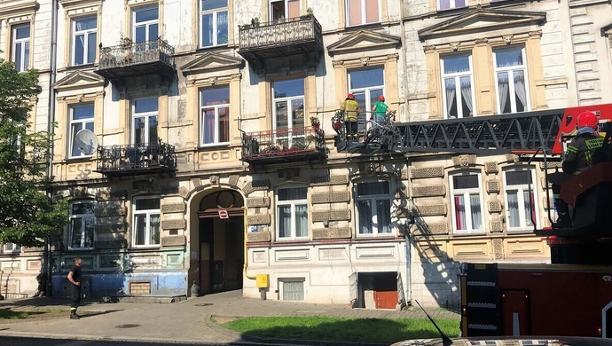 Strażacy ratowali psa i kota (ZDJĘCIA)