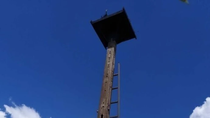 Mieszkańcy na medal. Słup już czeka na bociany