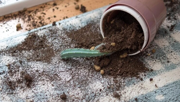 Piotrkowianin zdemolował dom w Bełchatowie