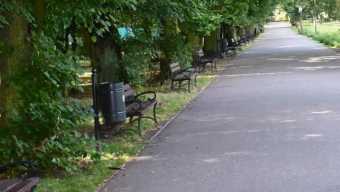 Komu przeszkadzają kosze w parkach?