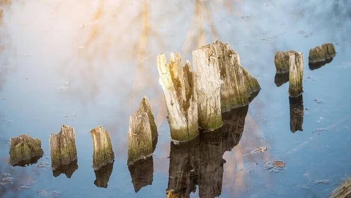 Fatalne konsekwencje skoku "na główkę"