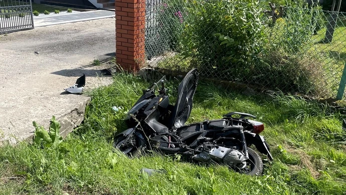 Feralne spotkanie na drodze [ZDJĘCIA, AKTUALIZACJA]