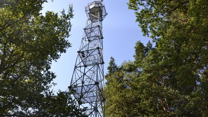 Wieże, które chronią piotrkowskie lasy