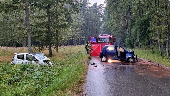 Śmiertelny wypadek między Piotrkowem a Kołem (ZDJĘCIA)