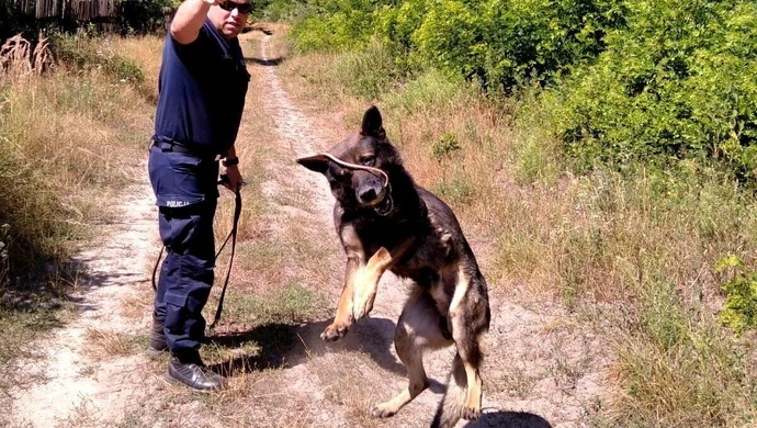 Czworonożni policjanci szkolili się pod okiem opiekunów