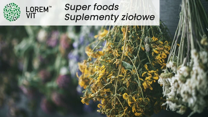 Mieszanki ziołowe Lorem Vit – ziołowe herbaty dla Ciebie