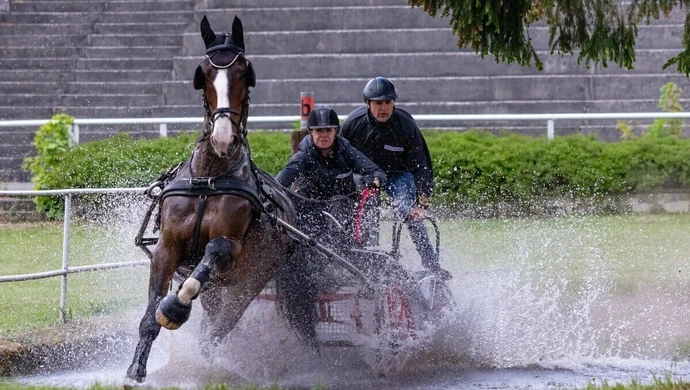 Zawody w powożeniu z Festiwalem Produktów Regionalnych