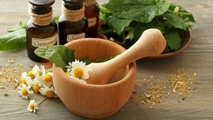 Zioła na ból głowy &#8211; zobacz jak wybrać te najlepsze herbaty ziołowe