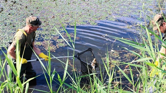 Brak tlenu przyczyną wystąpienia zjawiska śniętych ryb?