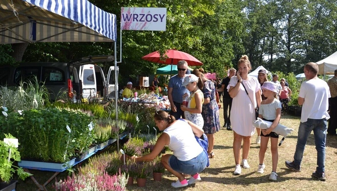 Trwa jubileuszowa ROL-SZANSA [ZDJĘCIA]