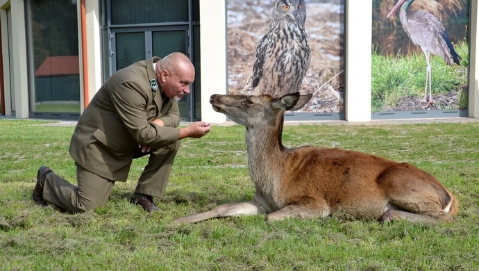 Leśna Osada już oficjalnie otwarta!