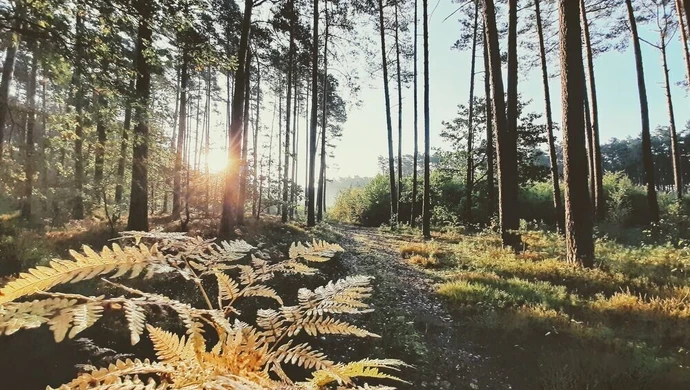 Wybrano najpiękniejsze zdjęcia "Mojej Małej Ojczyzny"