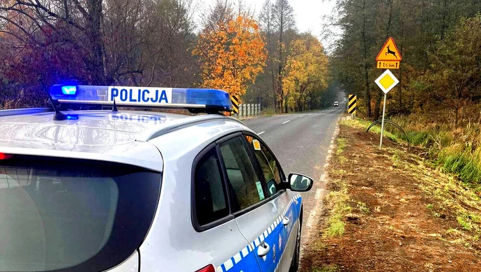 Jedna doba, trzy zderzenia ze zwierzętami