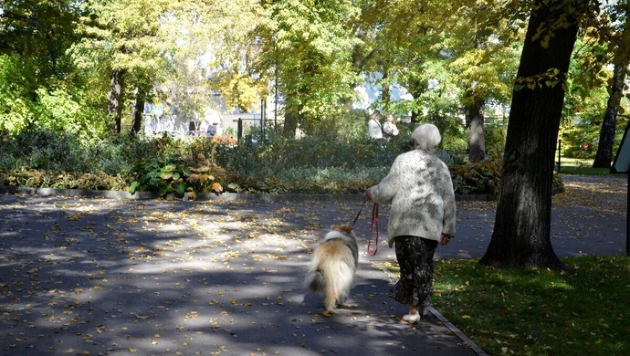 Złota Polska Jesień zawitała. Wybieracie się na spacer?