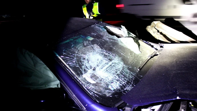 Śmiertelny wypadek na A1 pod Piotrkowem