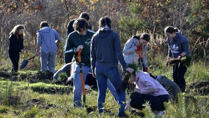 Posadzili dwa tysiące drzew