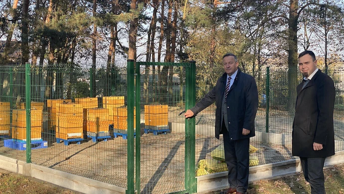 Pszczoły zadomowiły się w nowych ulach