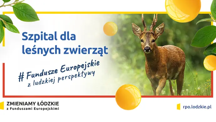 Szpital dla leśnych zwierząt