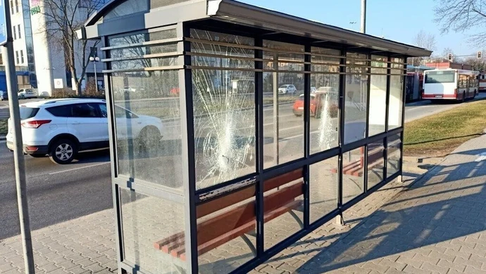 Wandale niszczą Piotrków [ZDJĘCIA]