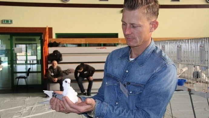 Wystawa gołębi rasowych