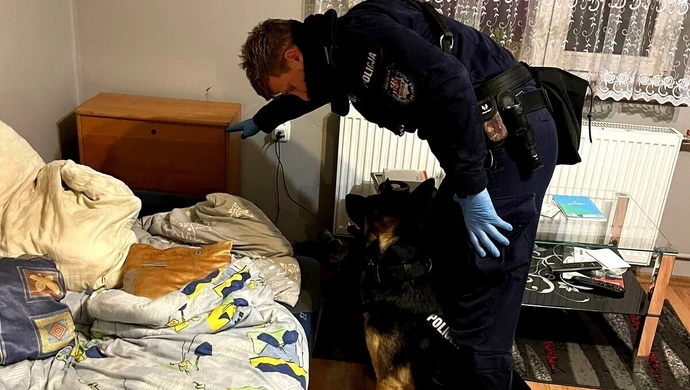 Narkotykowy tercet w rękach policji