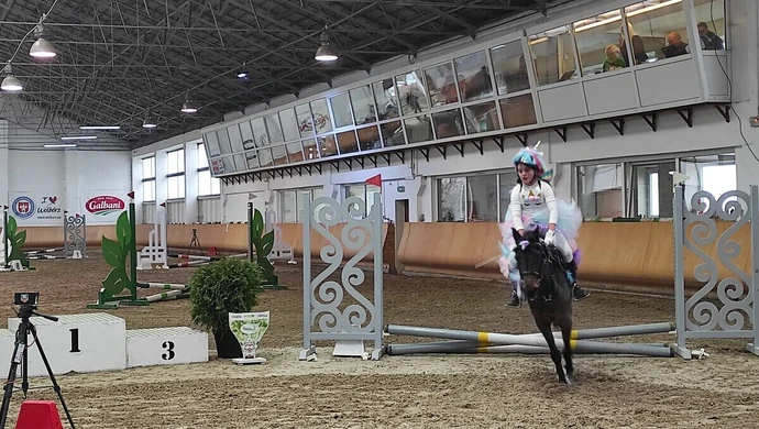 Mikołajkowe atrakcje w Stadzie Ogierów w Bogusławicach