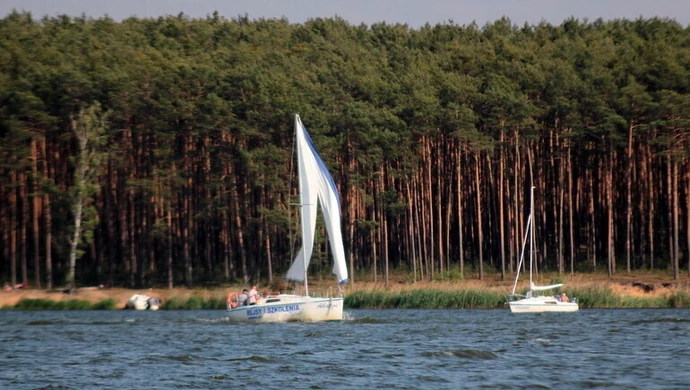 Bogactwo przyrody na wyciągnięcie ręki
