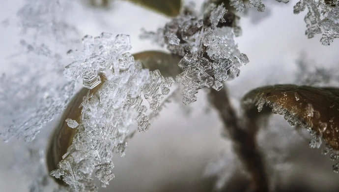 Przygotujcie czapki i rękawiczki. Nadchodzi mróz