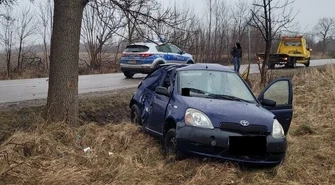 Uderzyła w drzewo, zapłaci 1,5 tys. zł