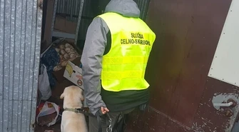 Ares wytropił nielegalne papierosy