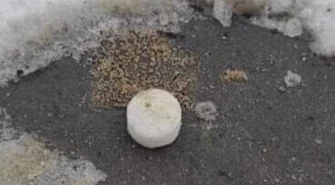 Tajemnicze białe tabletki w Piotrkowie. Kto je rozrzuca?