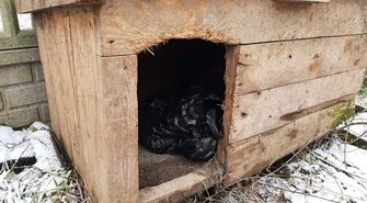 Narkotyki schowane w psiej budzie