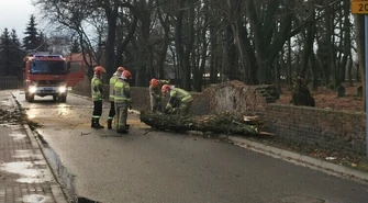 Powalone drzewa, przewrócone samochody i brak prądu