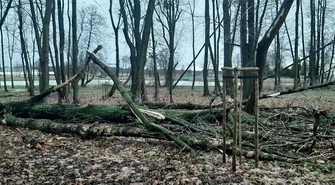 Wichura uszkodziła zabytkowe drzewa. Park zamknięty