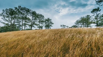 W poniedziałek znów mocniej powieje