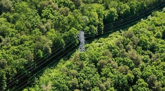 PGE zaprasza na warsztaty online dla wykonawców prac w obszarze dystrybucji energii elektrycznej