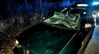 Kierowca seata zderzył się z łosiem