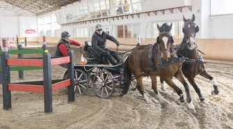 Zakończono zmagania w powożeniu [ZDJĘCIA]