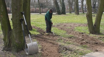Powalone drzewa (w końcu) zniknęły z parku