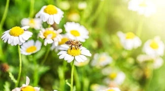 Kiedy w końcu przyjdzie ocieplenie?