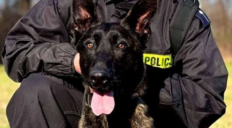 Maks pomoże piotrkowskim policjantom