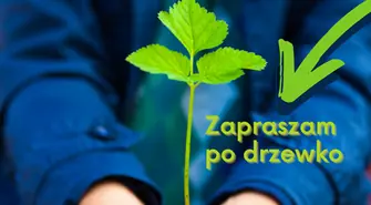 Akcja rozdawania drzewek, tym razem w Rozprzy