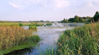 Posprzątają Bugaj po brudasach