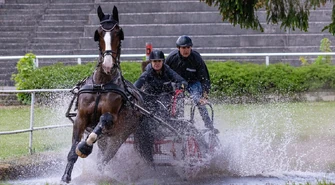 Powozili w Stadzie Ogierów w Bogusławicach [ZDJĘCIA]