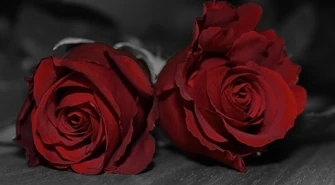 Gala, nagrody i podziękowania. Zapraszamy już w piątek