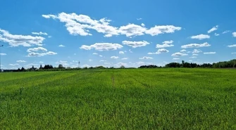 Czy weekend przyniesie zmianę pogody?