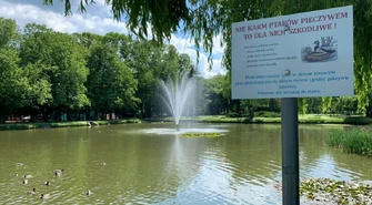 "Nie karm ptaków pieczywem" - tablice informacyjne w piotrkowskim parku