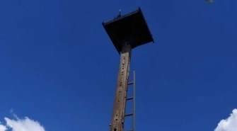 Mieszkańcy na medal. Słup już czeka na bociany